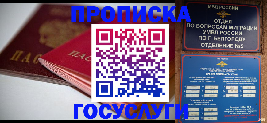 временная регистрация собственник в Ивантеевке